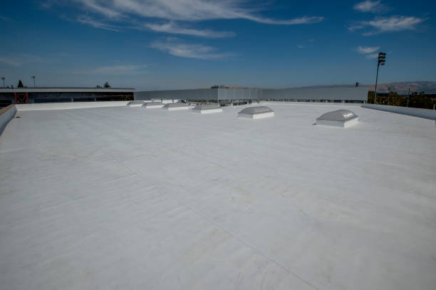 Best Roof Insulation Installation  in Etowah, TN
