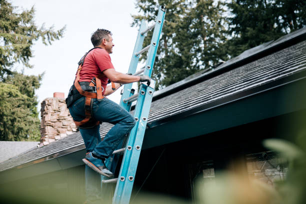 Best Gutter Installation and Repair  in Etowah, TN
