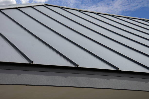Best Solar Panel Roofing Installation  in Etowah, TN